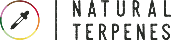 LOGO_NT_COLOR.png