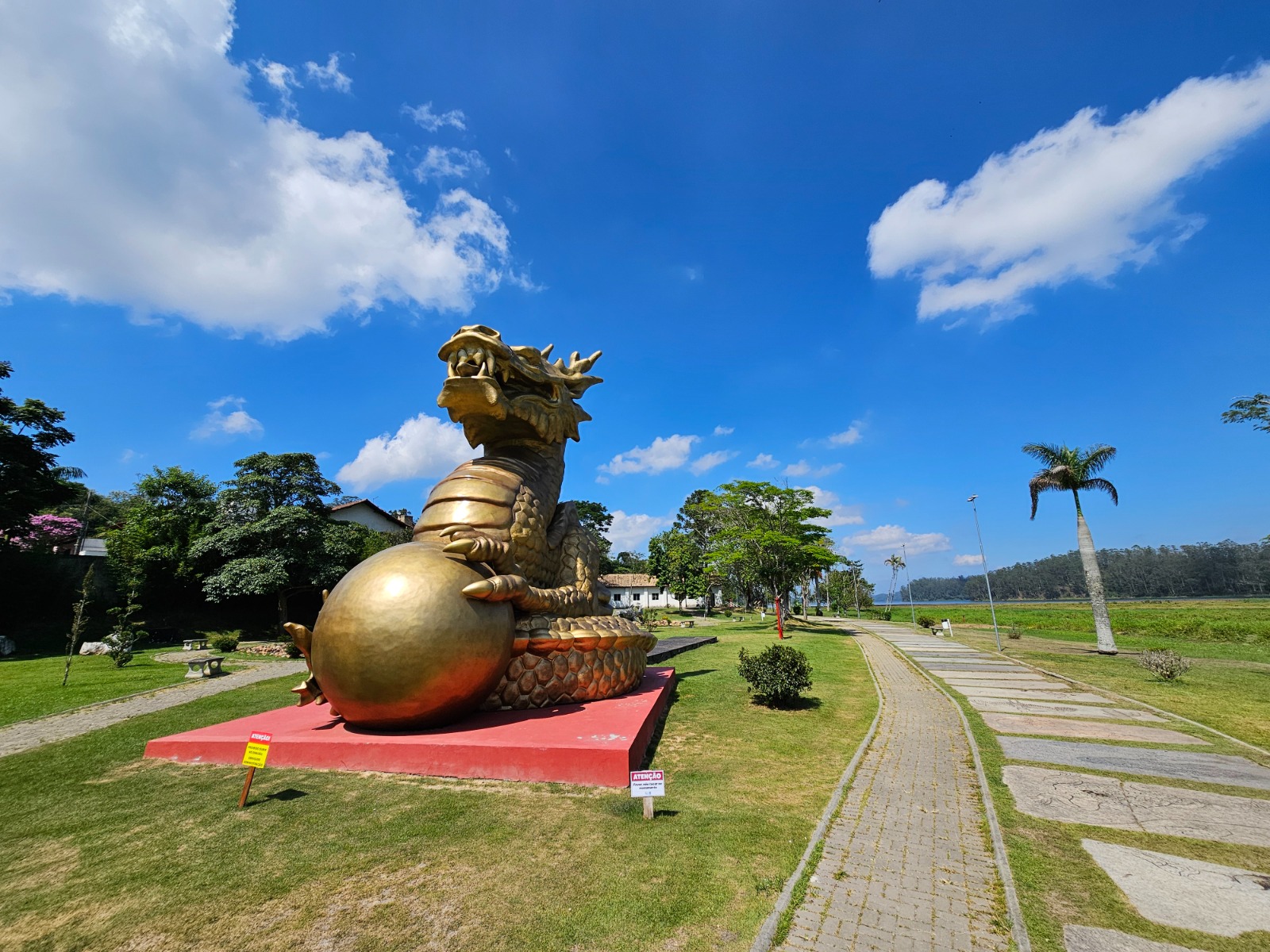 WhatsApp Image 2026-02-13 at 15.40.35 (3).jpeg